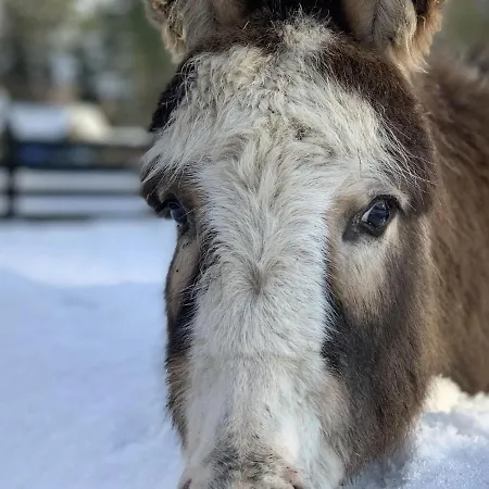 Seepark Heidenholz, Plau Am * Plau am See