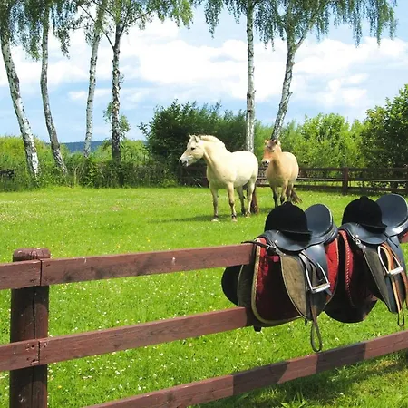 Seepark Heidenholz, Plau Am Ferienhaus Plau am See