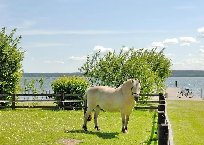 別荘 Seepark Heidenholz, Plau Am